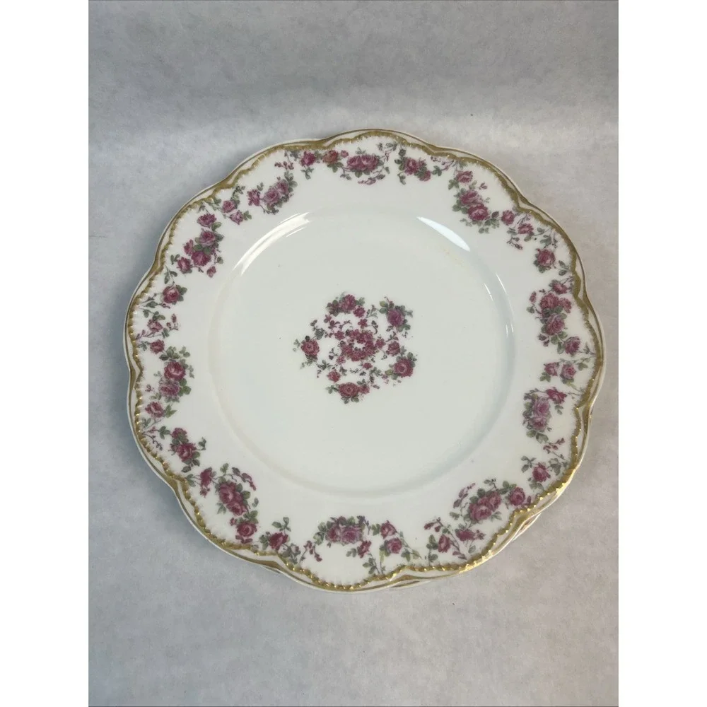 Haviland & Co Limoges Schleiger‎ 270 Salad Plates. 7.5